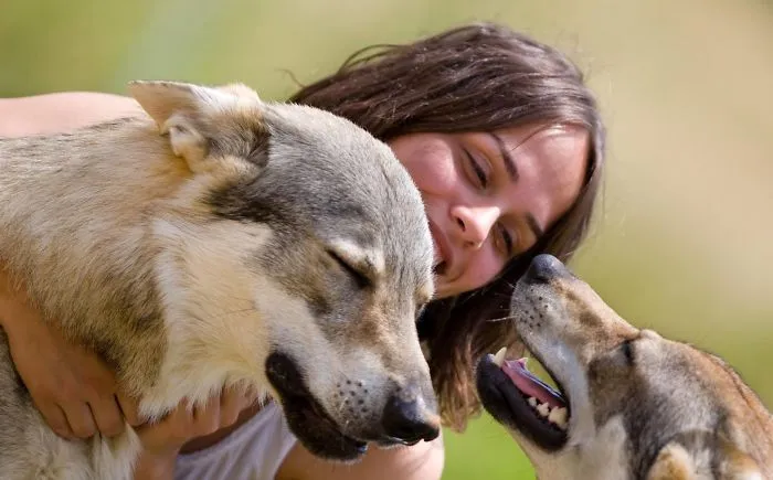 People Show How Animals Should Be Loved