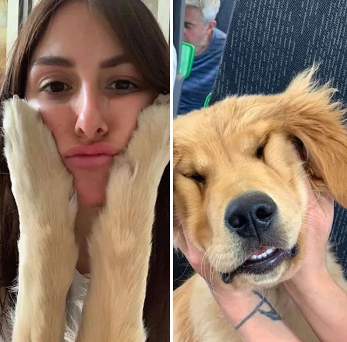 La conexión de esta chica con sus perros es la definición de amigos del alma (30 imágenes)