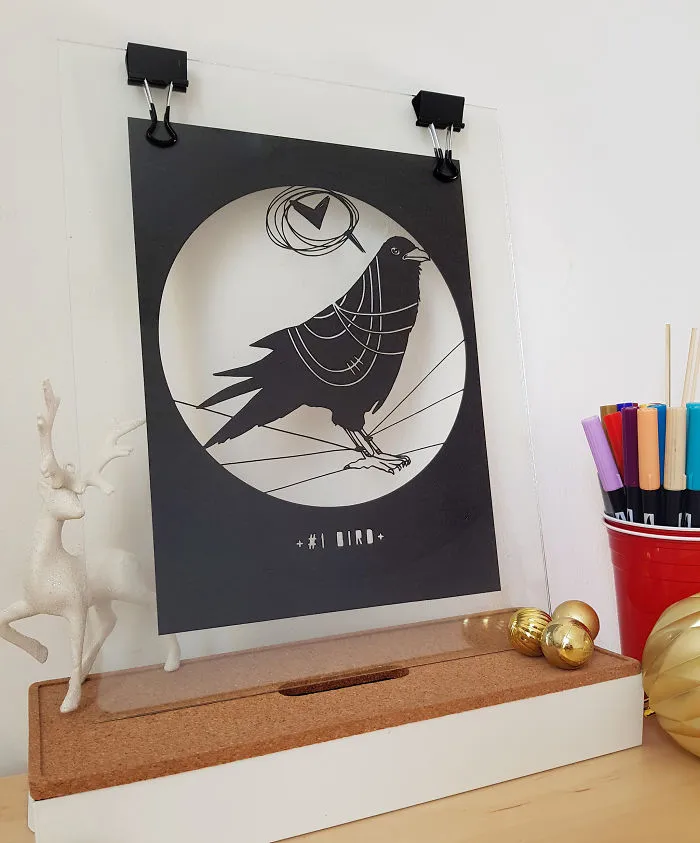 Bird