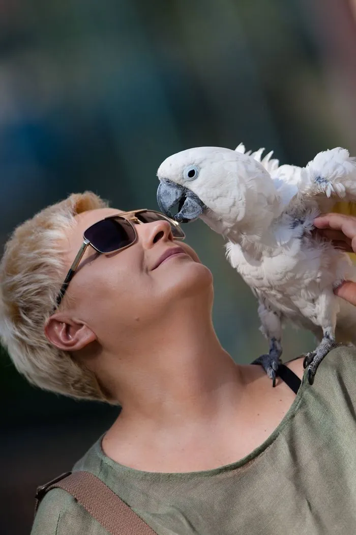 People Show How Animals Should Be Loved