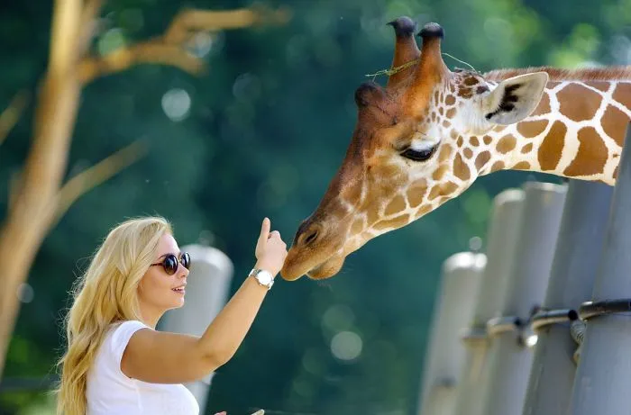 People Show How Animals Should Be Loved
