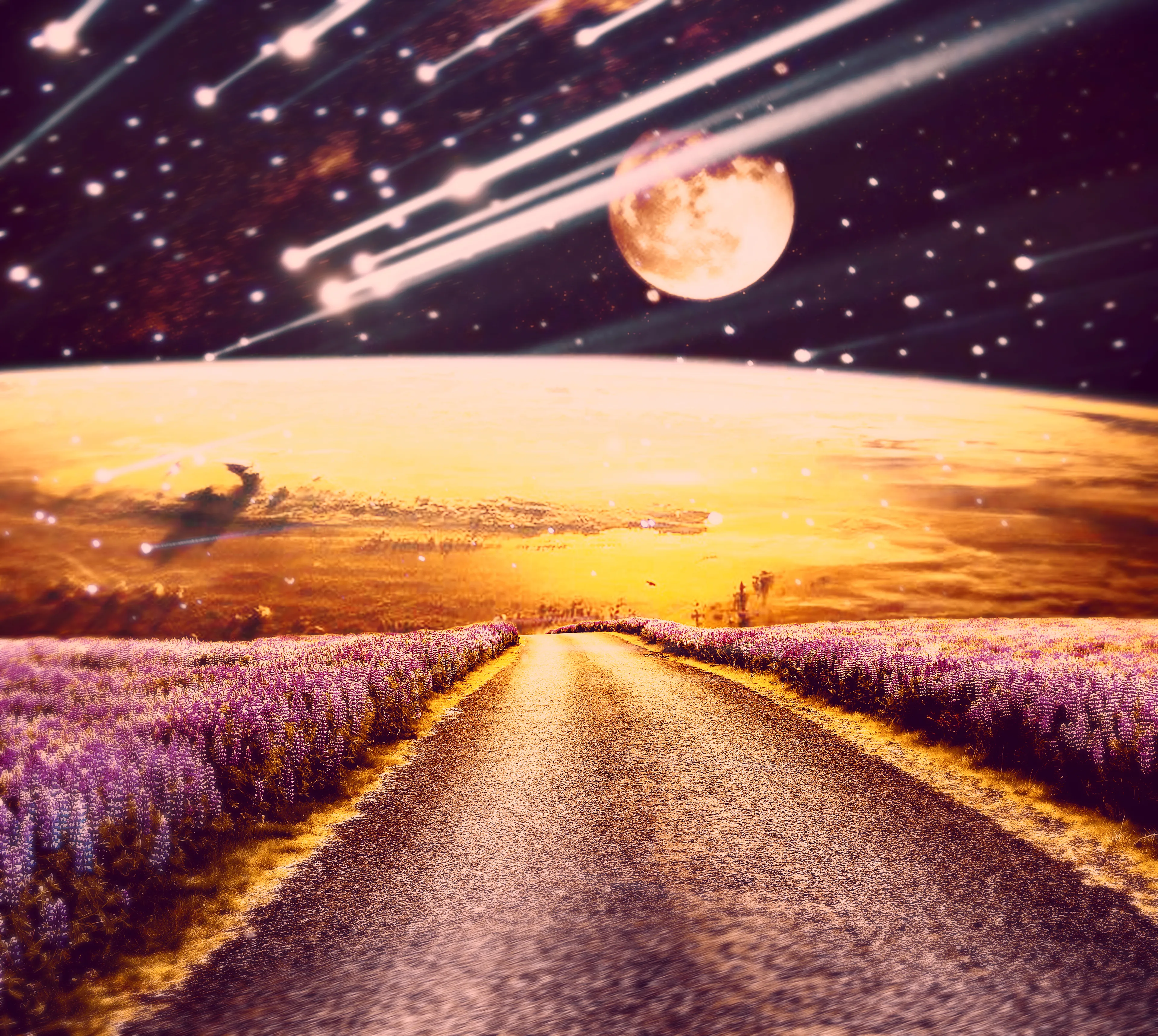 Photo Manipulation