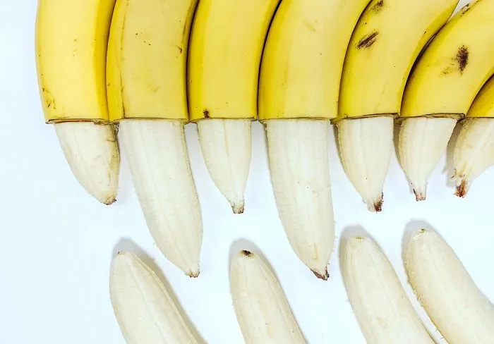 Bananasaurus Rex