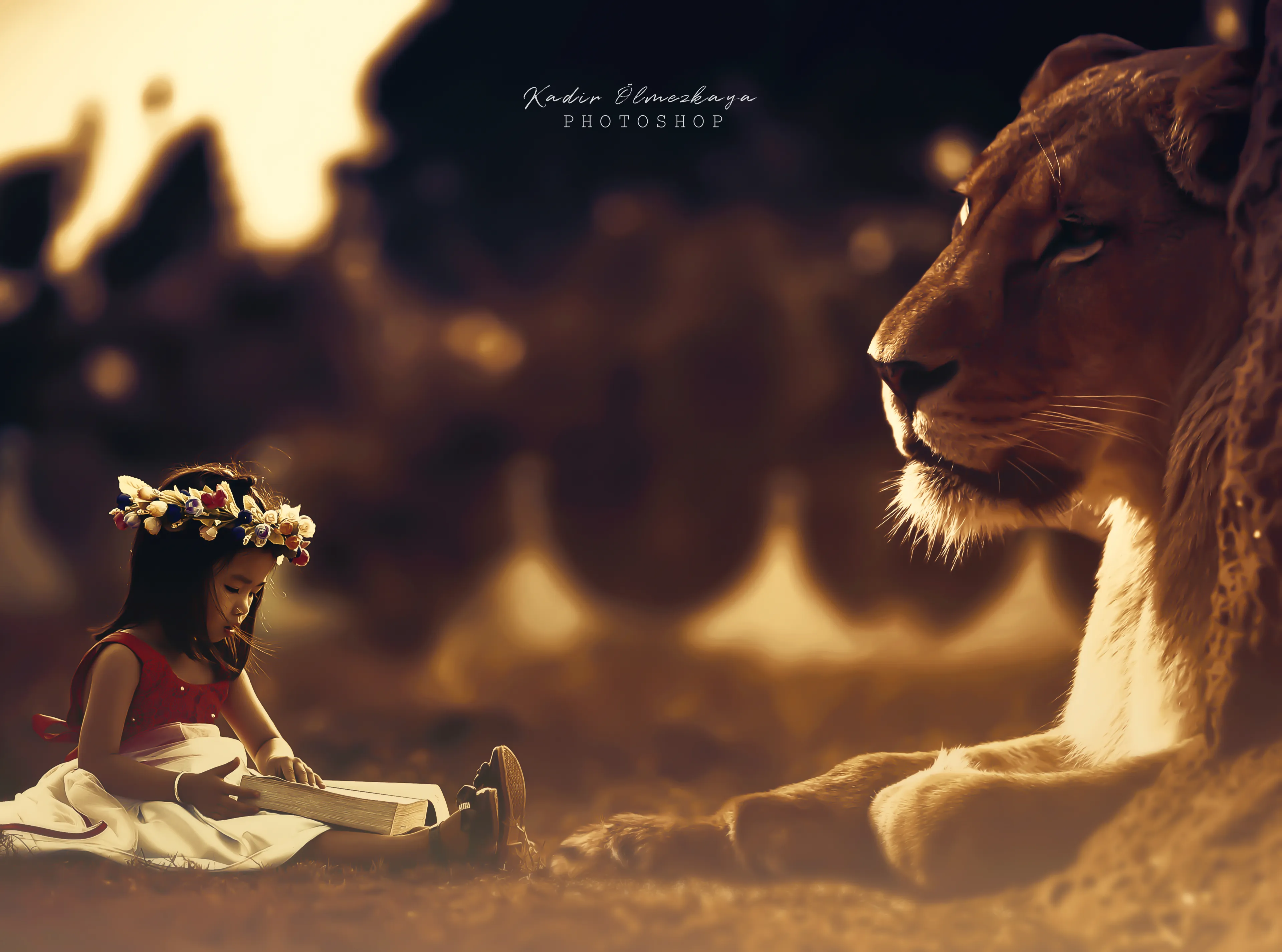 Photo Manipulations