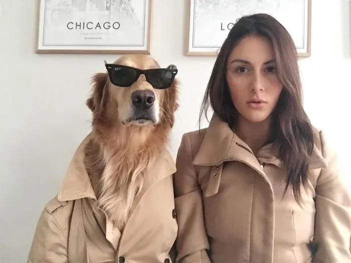 La conexión de esta chica con sus perros es la definición de amigos del alma (30 imágenes)