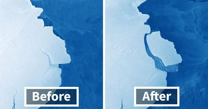 315 Billion Tonnes Of Ice Just Broke Off From Antarctic Ice Shelf And It's 5 Times Bigger Than Malta