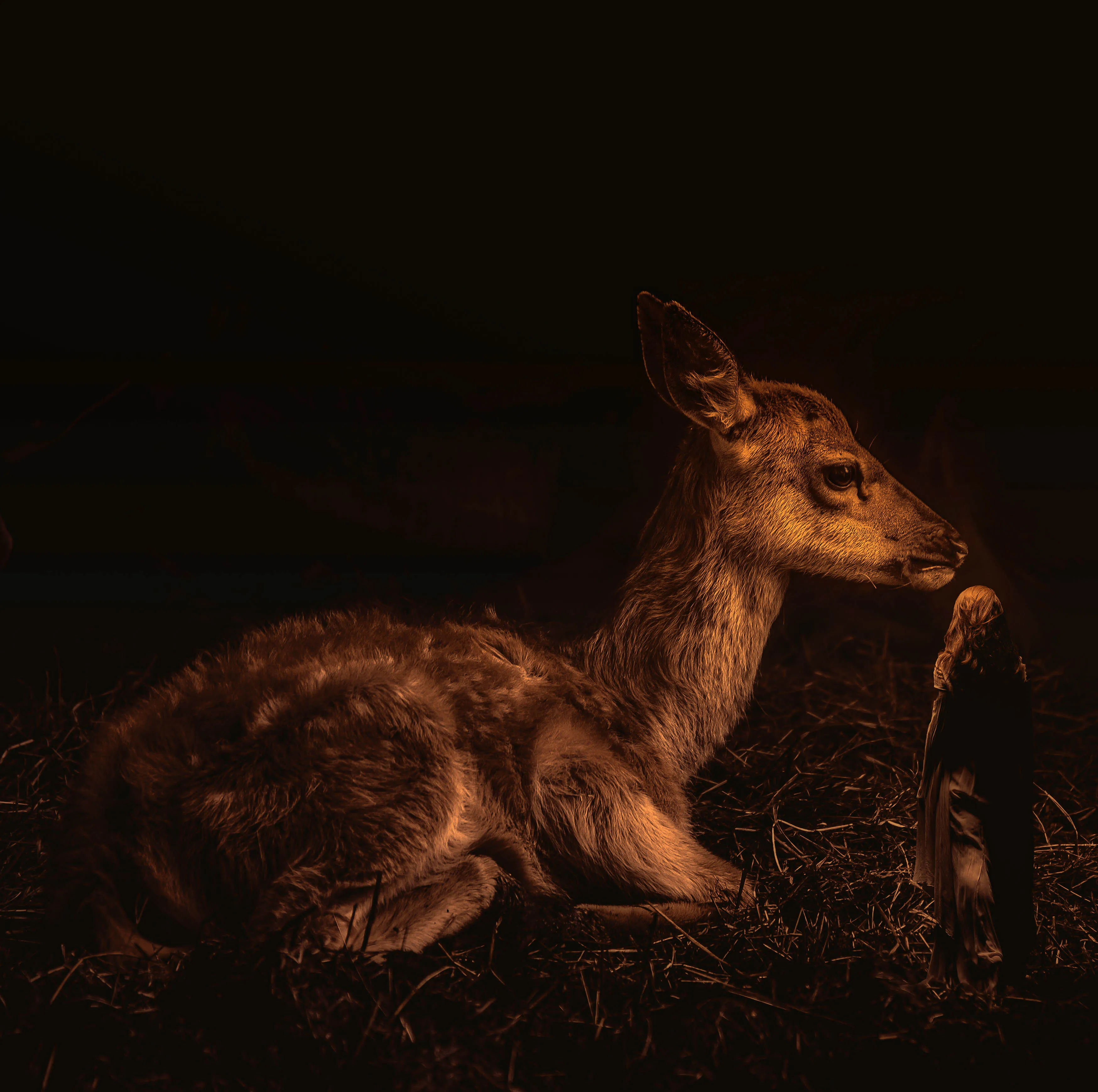Photo Manipulation