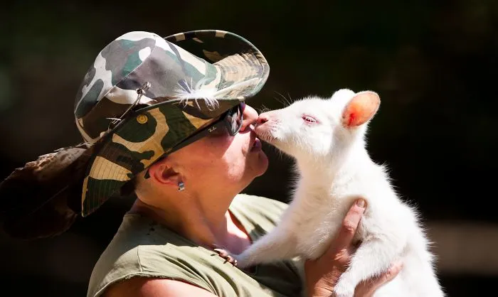 People Show How Animals Should Be Loved