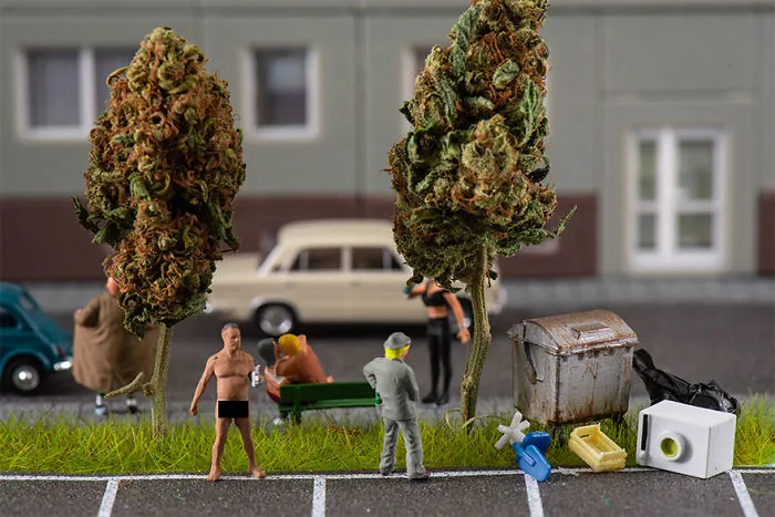 The Hood