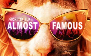 My 66 Movie Poster Parodies Starring Sphynx Cats