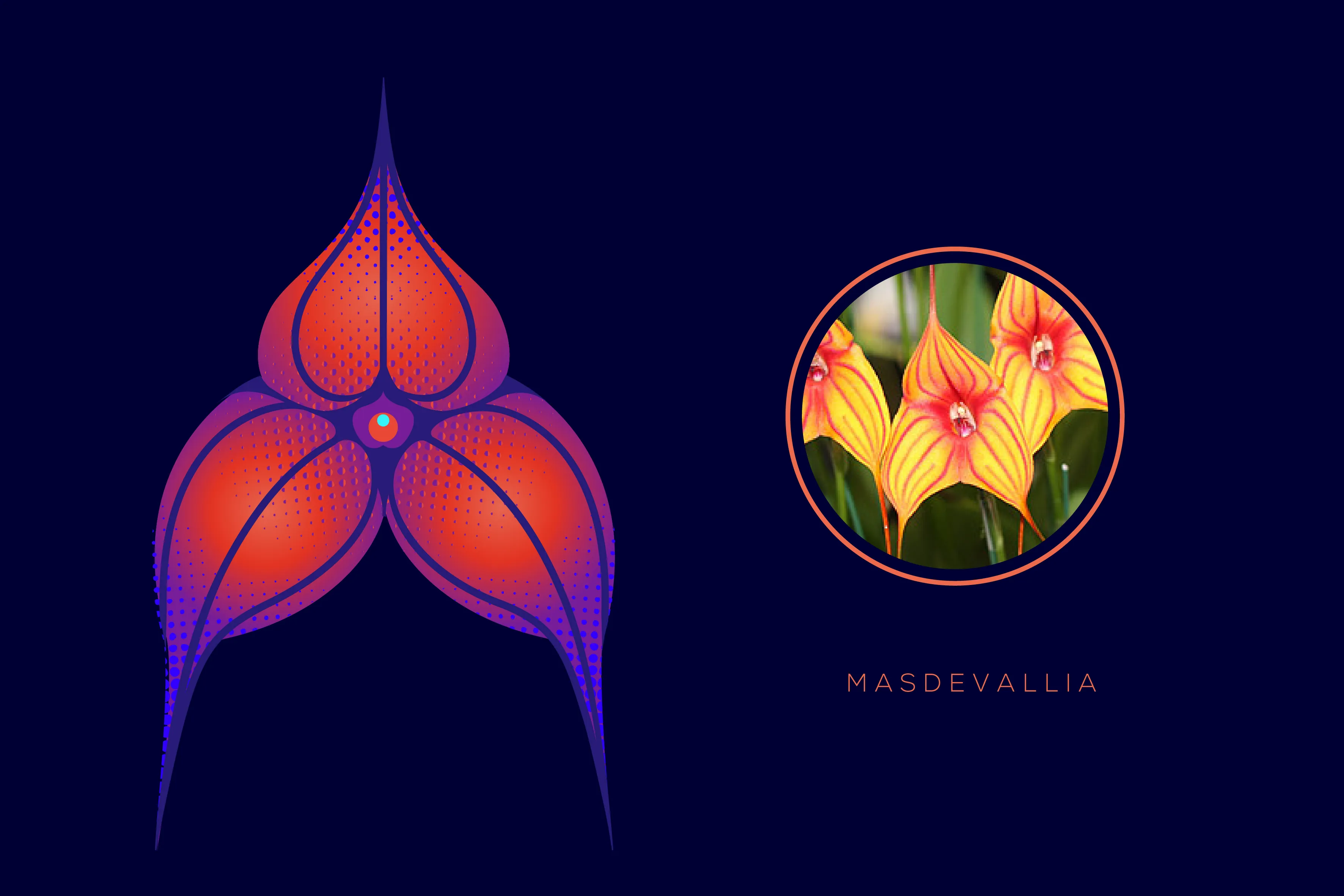Artist Nikki Meier Liked Orchids So Much She Created An Entire Alphabet Out Of Them (36 Pics)
