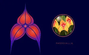 Artist Nikki Meier Liked Orchids So Much She Created An Entire Alphabet Out Of Them (36 Pics)