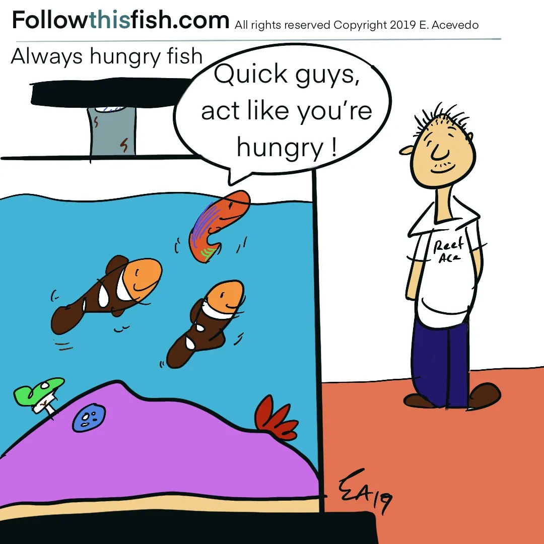 Always Hungry Fish
