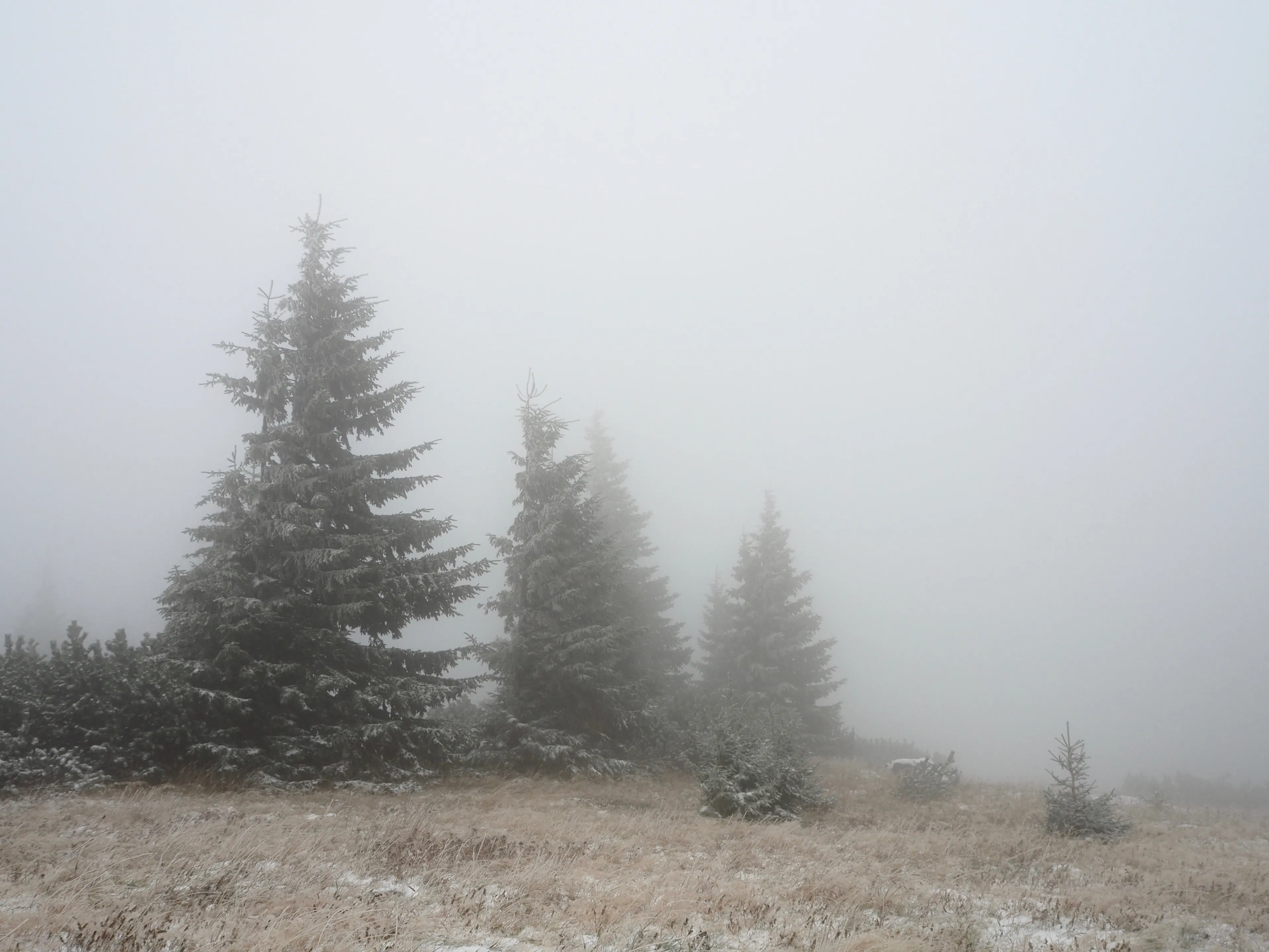 First Winter Hike This Season