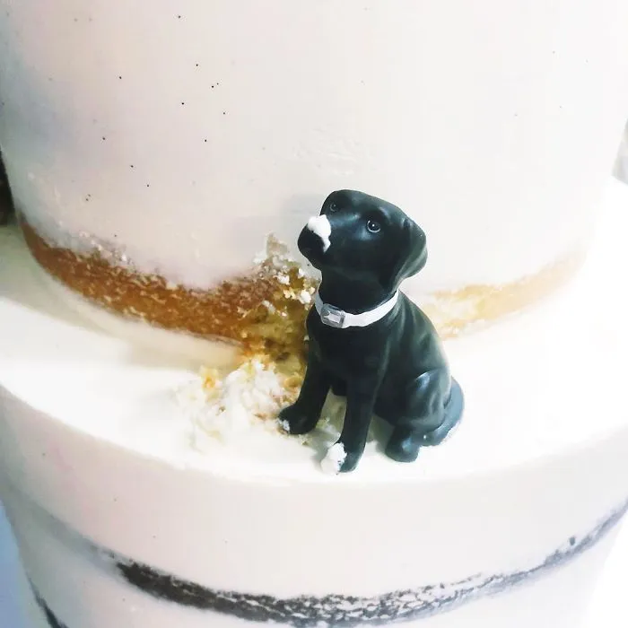30 Aesthetically Pleasing Cakes By This Canadian Baker