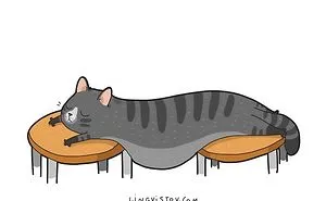 I Illustrate Hilarious Moments In The Life Of Every Cat Owner (40 New Pics)