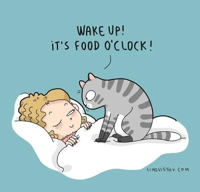 I Illustrate Hilarious Moments In The Life Of Every Cat Owner (40 New Pics)