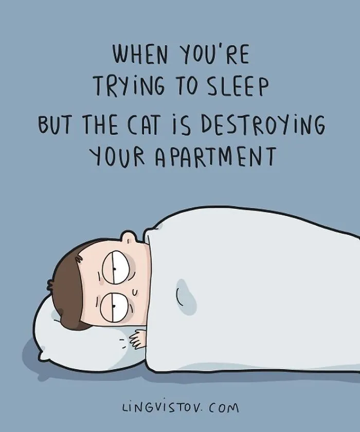 I Illustrate Hilarious Moments In The Life Of Every Cat Owner (40 New Pics)