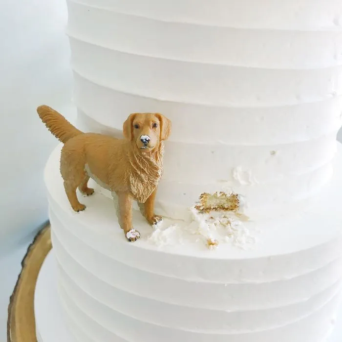 30 Aesthetically Pleasing Cakes By This Canadian Baker