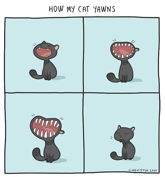 I Illustrate Hilarious Moments In The Life Of Every Cat Owner (40 New Pics)