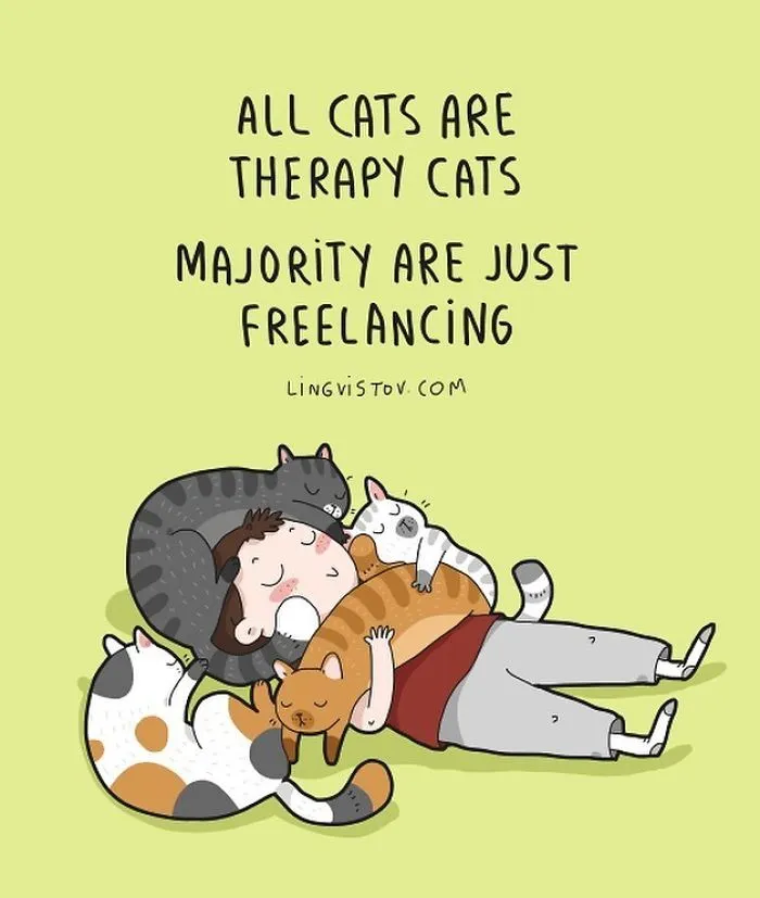 I Illustrate Hilarious Moments In The Life Of Every Cat Owner (40 New Pics)
