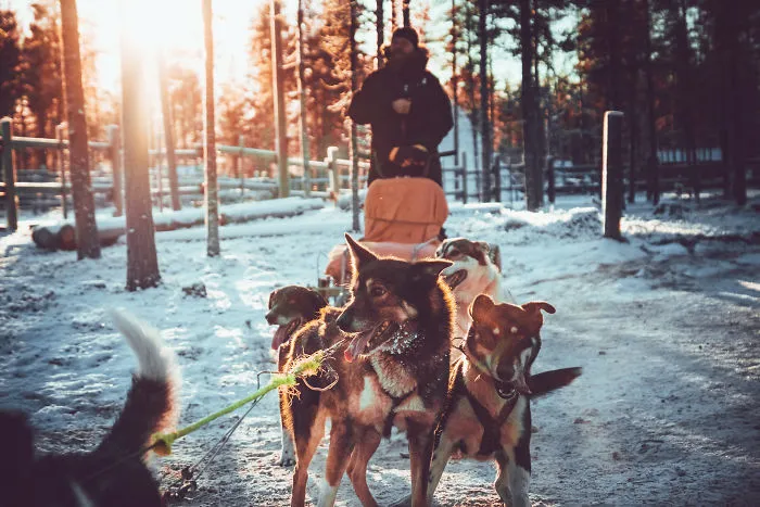 I Stayed In The Kakslauttanen Arctic Resort