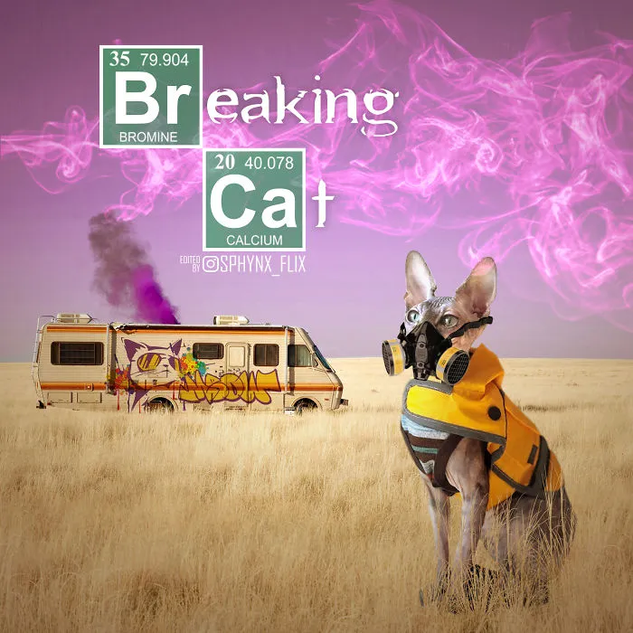 Breaking Bad
