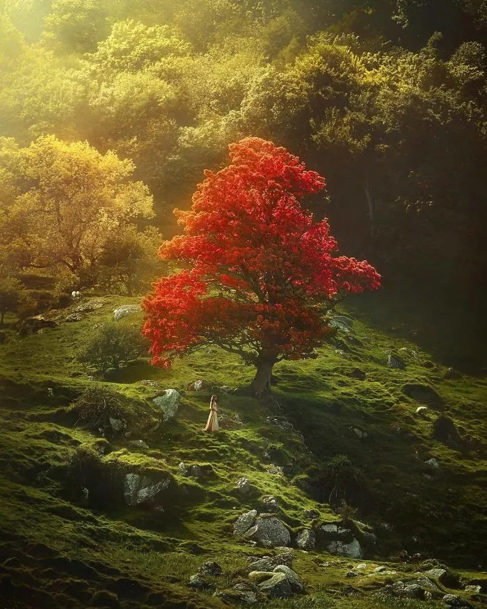 Traveling Couple Captures Ethereal Images In The Most Unspoiled Places Around The World (50 Pics)