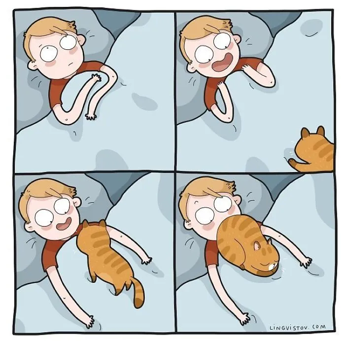 I Illustrate Hilarious Moments In The Life Of Every Cat Owner (40 New Pics)