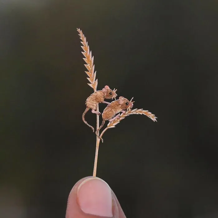 We Make Paper Cut Miniature Animals and One Takes 4 To 6 Hours To Complete