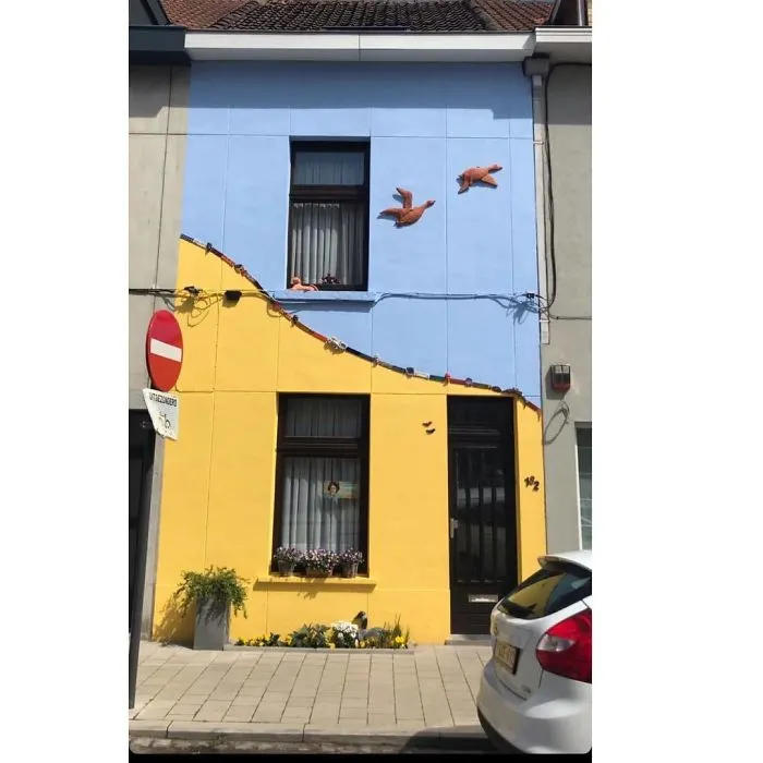 What The Flying Duck