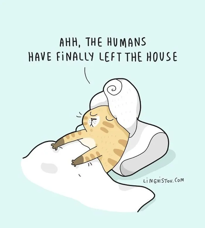 Lingvistov Cat Comics