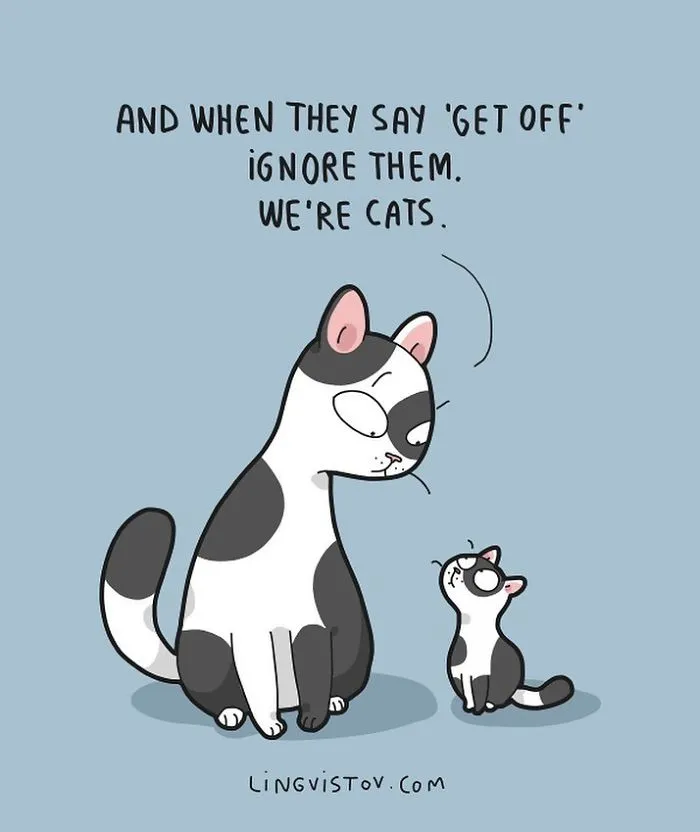 Lingvistov Cat Comics