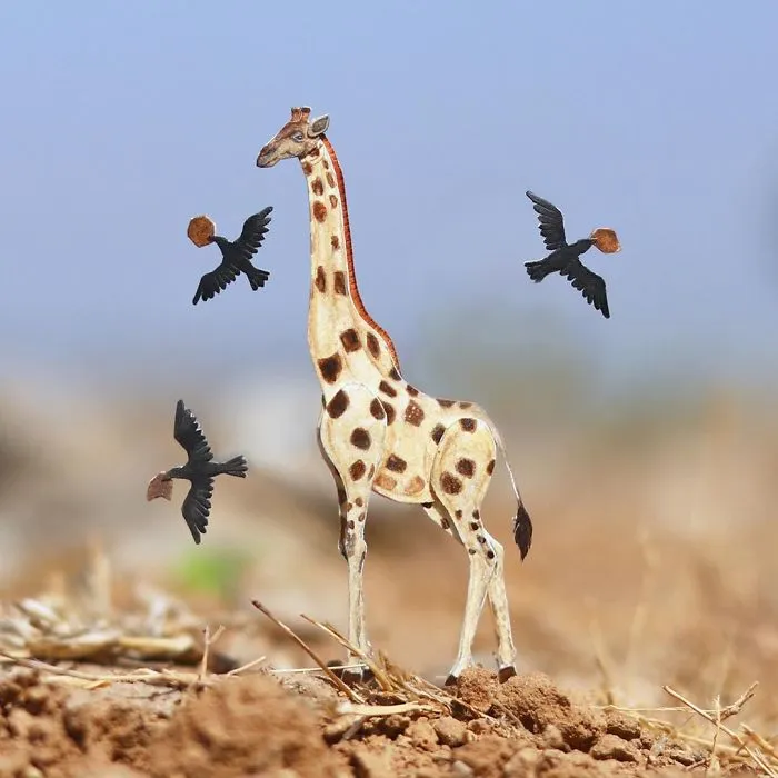We Make Paper Cut Miniature Animals and One Takes 4 To 6 Hours To Complete