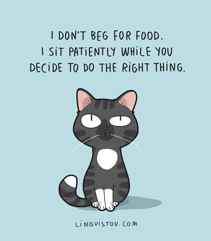 I Illustrate Hilarious Moments In The Life Of Every Cat Owner (40 New Pics)