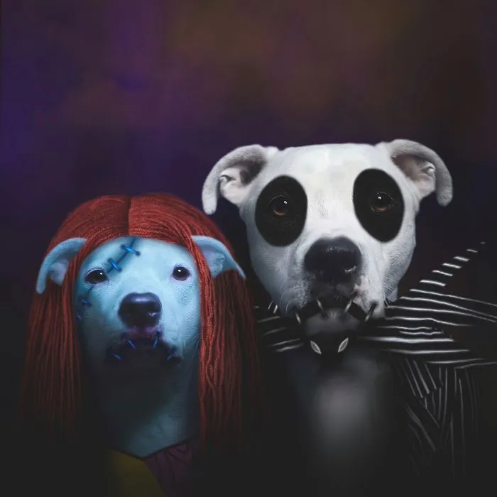I Photoshopped My 3 Dogs In An Epic Halloween Series (12 Pics)