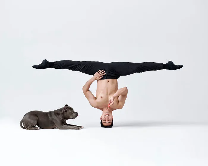 Ballet Dancers And Dogs Pose Together For A Photoshoot And The Result Will Make Your Day (40 Pics)
