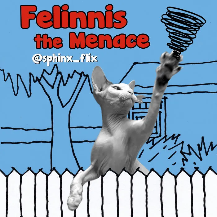 Dennis The Menace