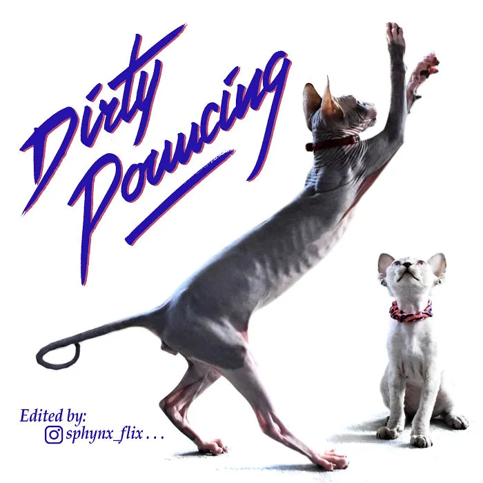 Dirty Dancing