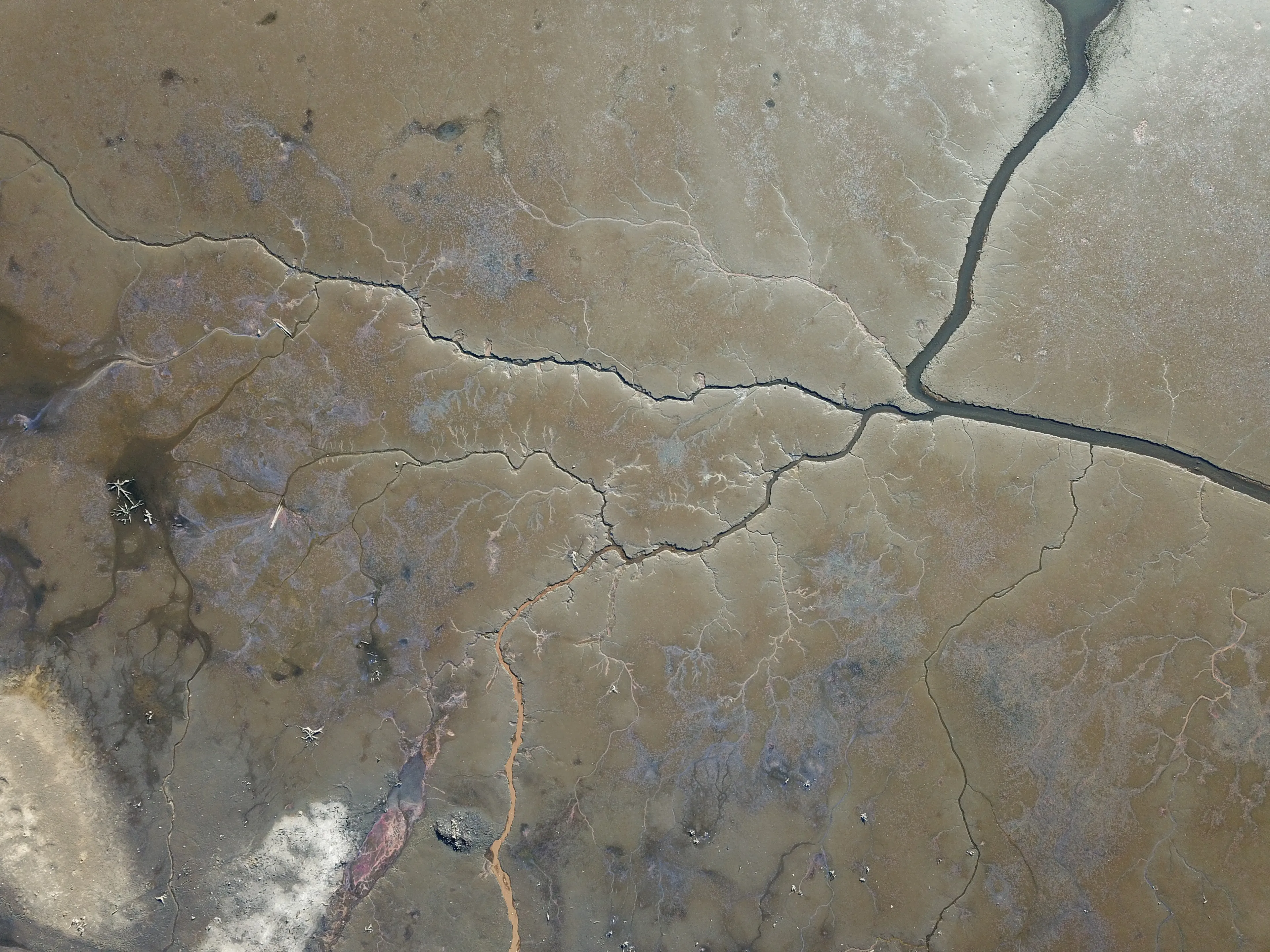 The Drained Lake Showed Me Its Second Face