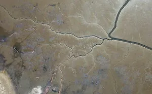 The Drained Lake Showed Me Its Second Face