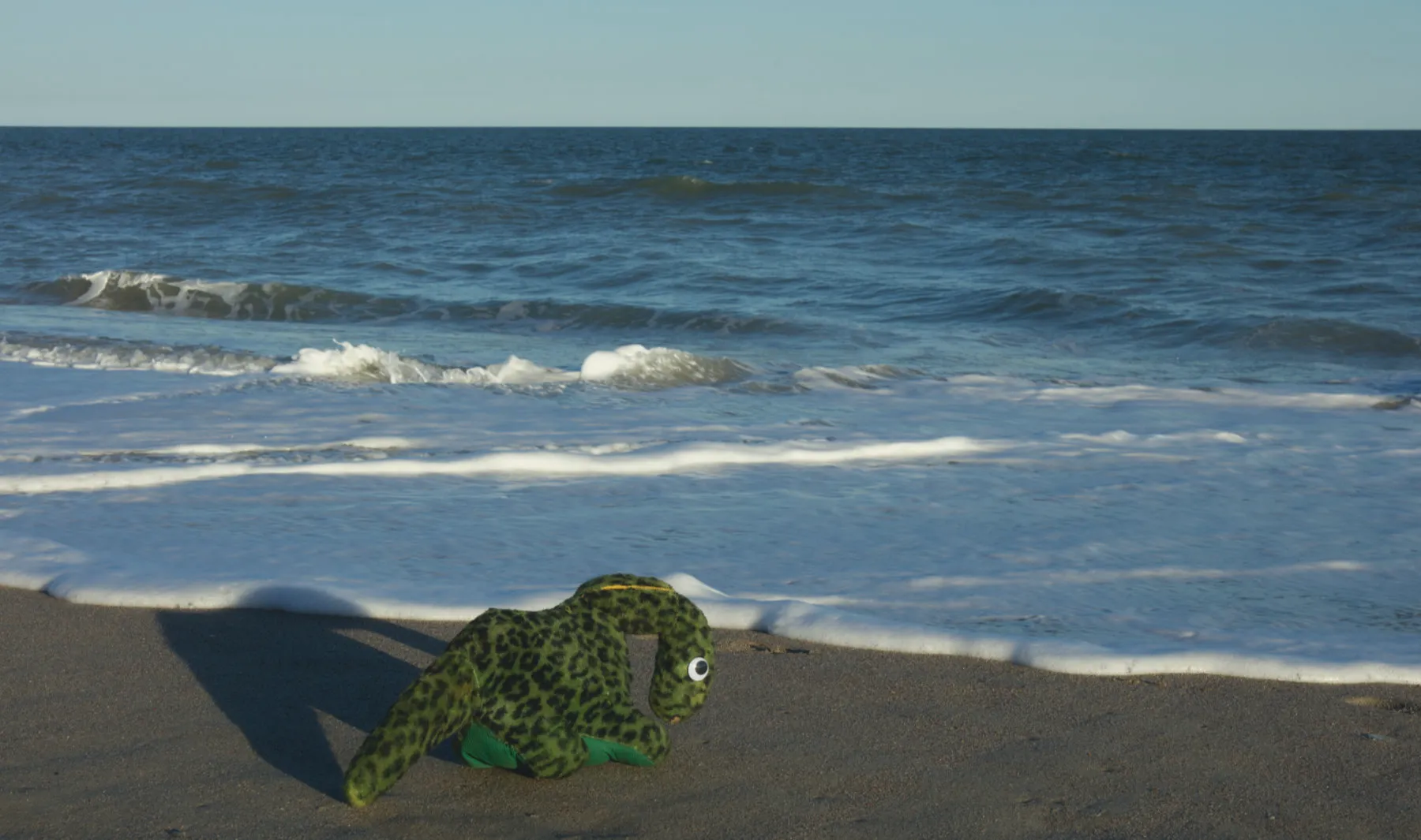 I Took My Dinosaur To The Beach