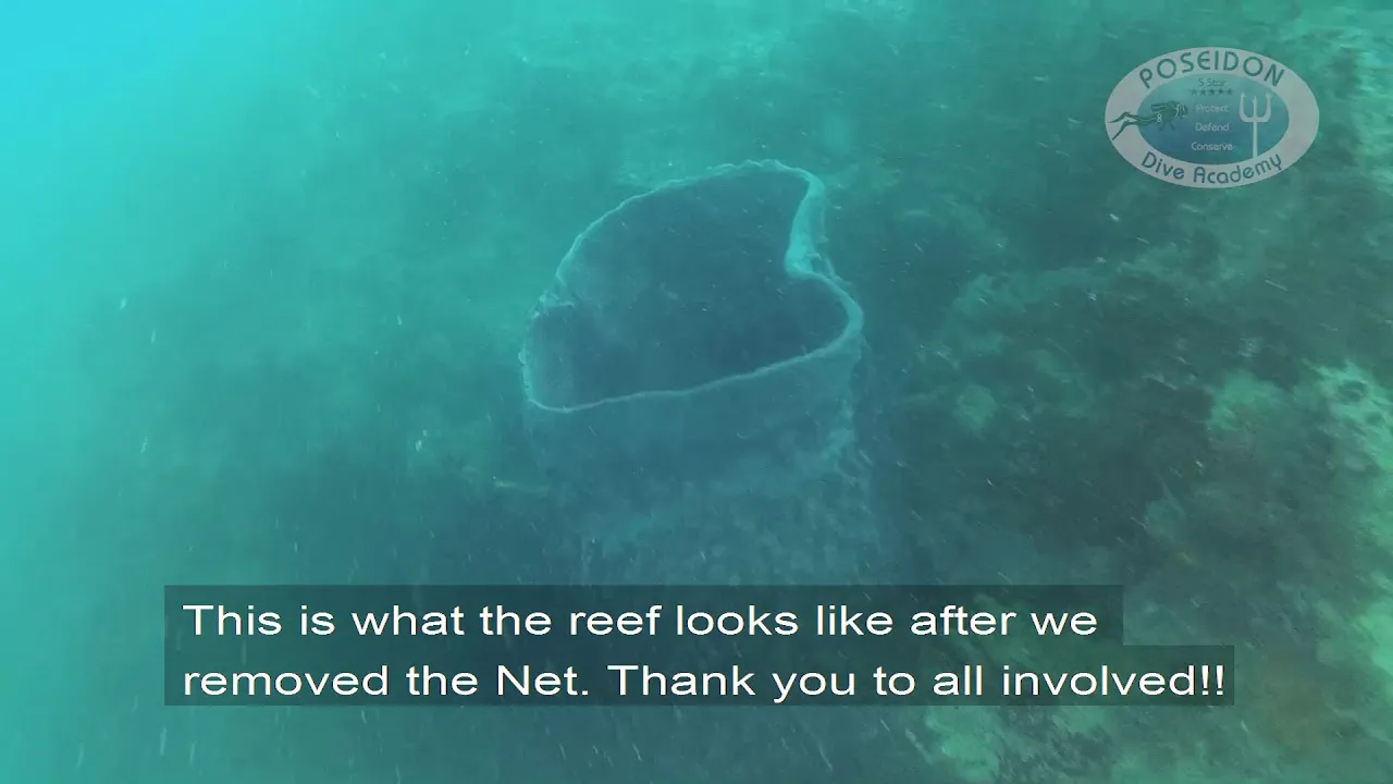 Abandoned Fishing Net Removal While Scuba Diving Is Hard Work!
