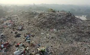 Living Off The Trash Of Others