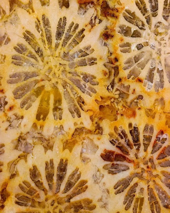 I Showcase The Natural Flaws And Purities Of Minerals At A Detail Never Captured Before (27 Pics)