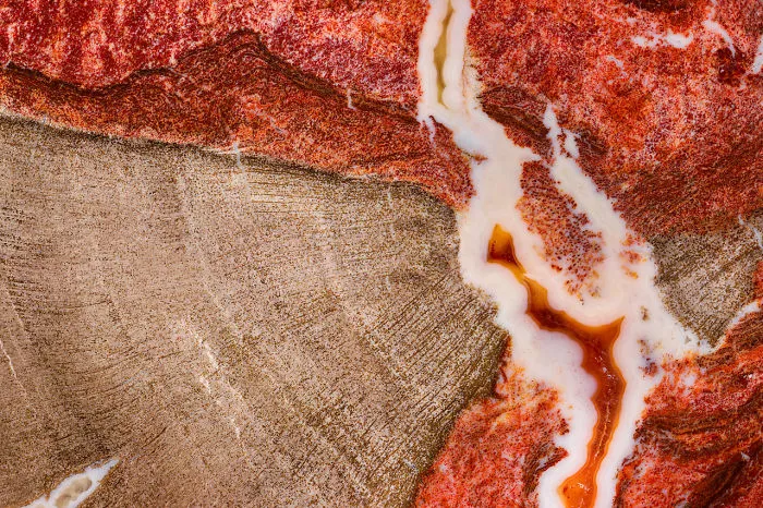 I Showcase The Natural Flaws And Purities Of Minerals At A Detail Never Captured Before (27 Pics)