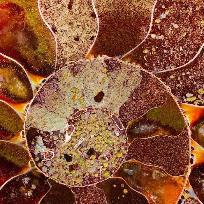 I Showcase The Natural Flaws And Purities Of Minerals At A Detail Never Captured Before (27 Pics)