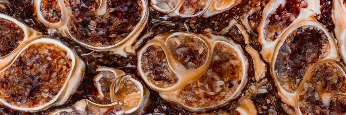 I Showcase The Natural Flaws And Purities Of Minerals At A Detail Never Captured Before (27 Pics)