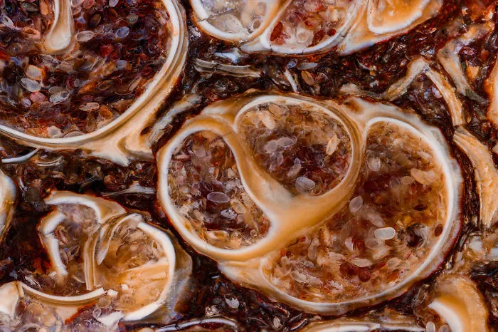 I Showcase The Natural Flaws And Purities Of Minerals At A Detail Never Captured Before (27 Pics)
