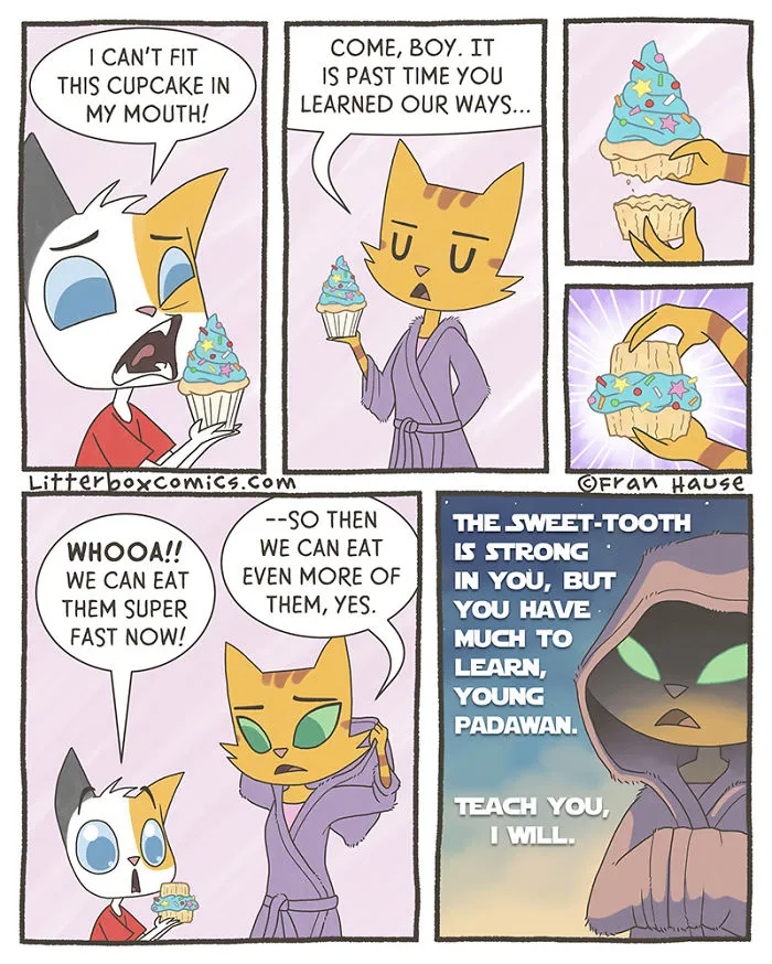 Teaching The Younglings
